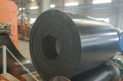 環形蜜桃久久国产AV一区二区廠家——環形輸送帶可以應用於那些行業？